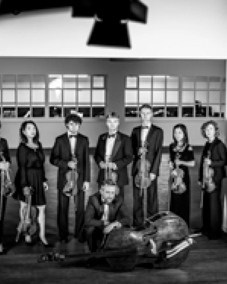 Orchestra da Camera di Bruxelles